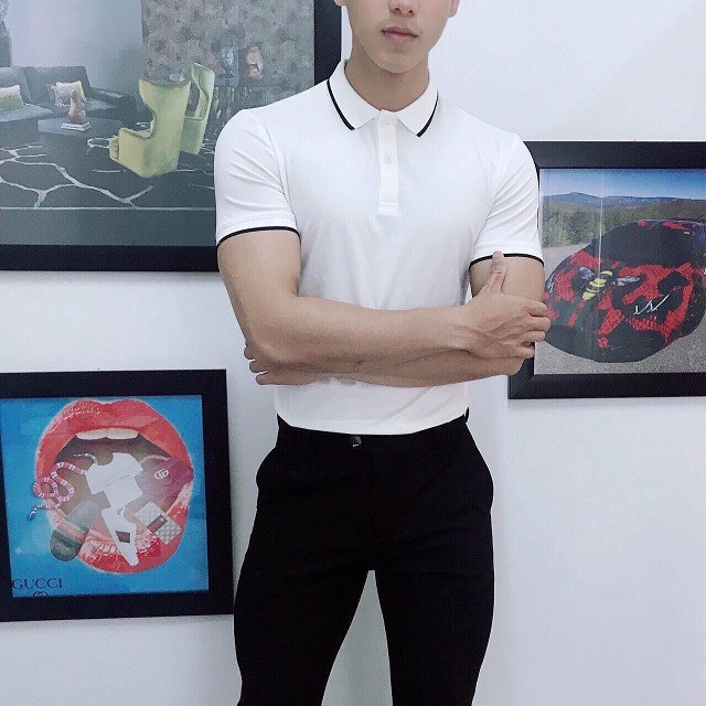 [Free Ship] Áo polo nam phong cách Hàn - chất liệu gai cá sấu