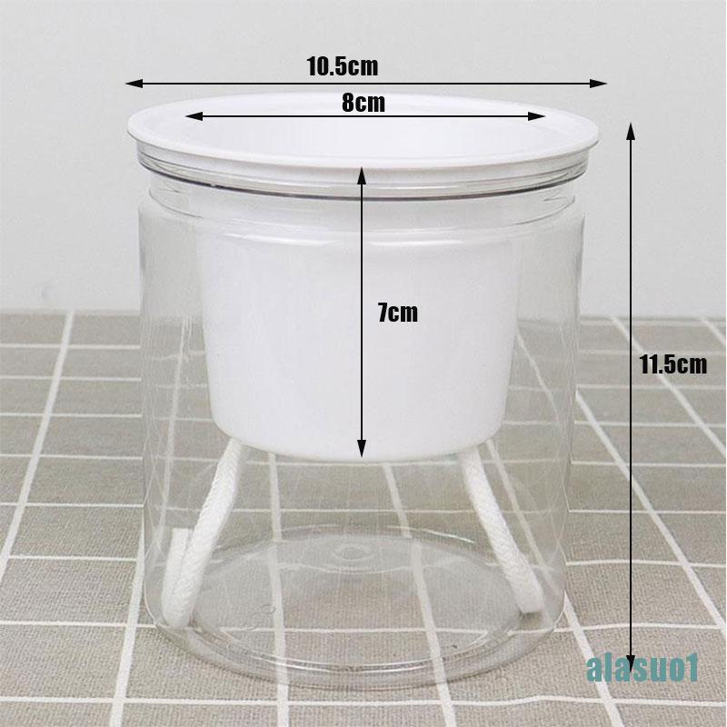 1 Bông Hoa Thấm Nước Tự Động