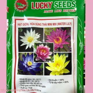 HẠT GIỐNG HOA SÚNG THÁI MINI MIX (WATER LILY)