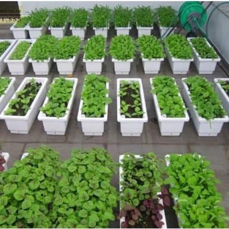 (67x24x20cm) Chậu trồng hoa thông minh ban công dài, giá treo chậu