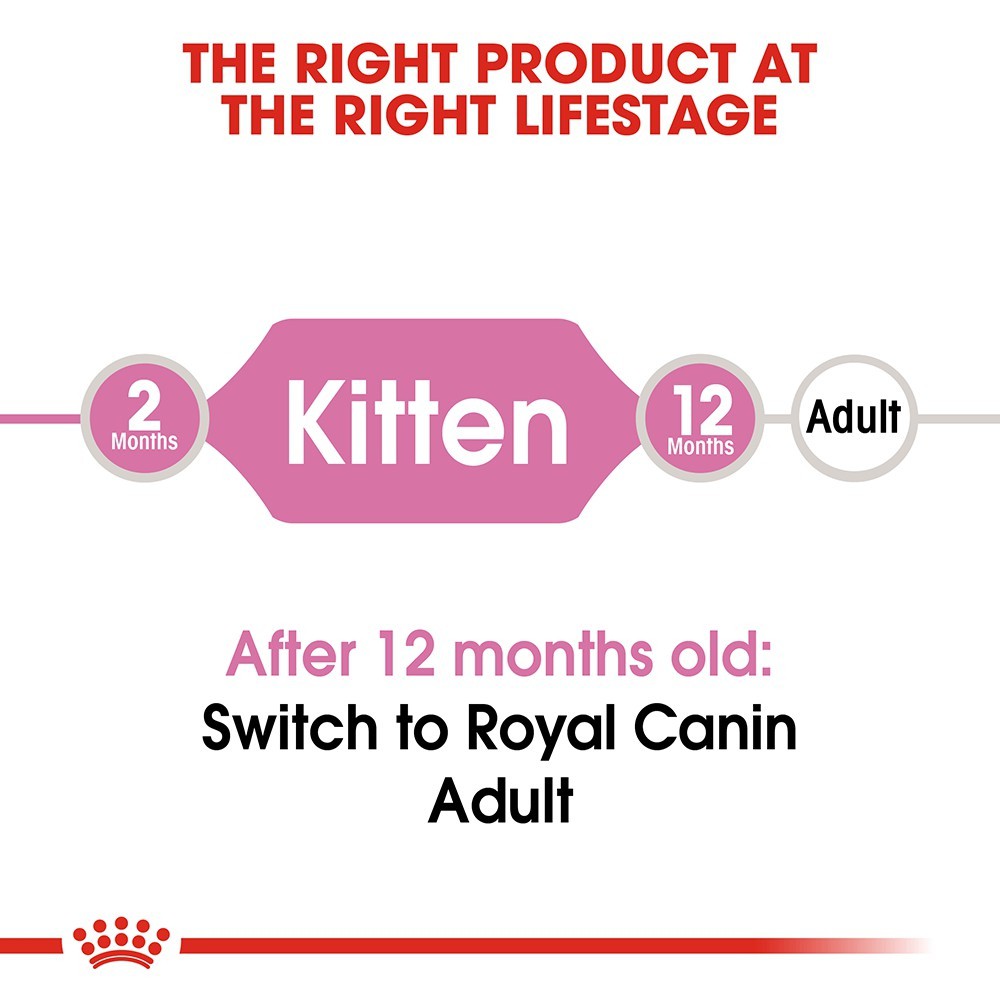 [CHÍNH HÃNG - ROYAL CANIN, túi hãng 2kg] Thức ăn hạt/ Đồ ăn khô cao cấp cho mèo con từ 4-12 tháng tuổi - Canin Kitten