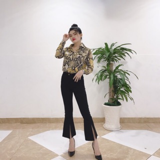 Set áo sơ mi rắn + quần legging
