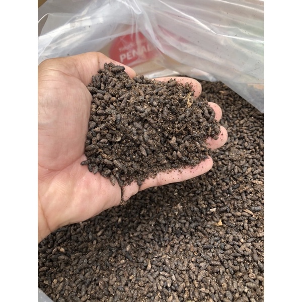 100gr Phân Dơi nguyên chất