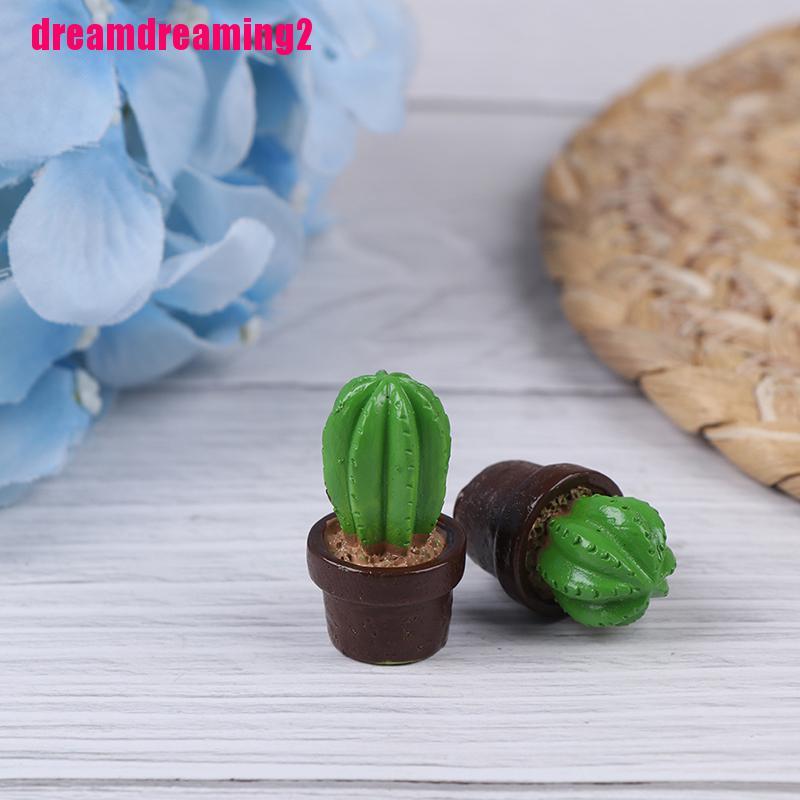 Bộ 5 Cây Xương Rồng Mini Bằng Nhựa Dùng Trang Trí