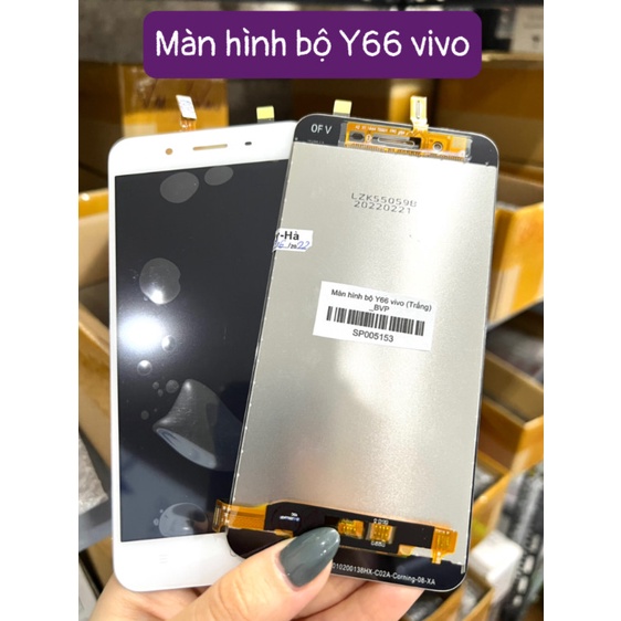Màn hình bộ Y66 Vivo
