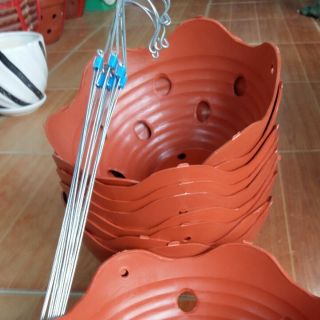 Combo 10 chậu trồng lan đẹp rộng 23cm x12cm