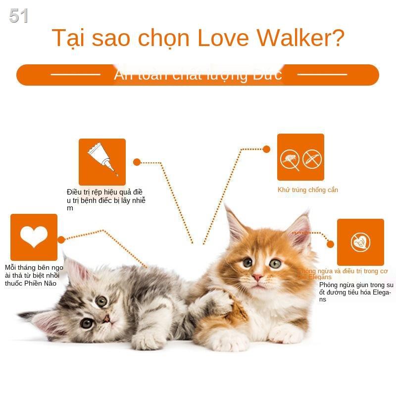 > Thuốc tẩy giun Bayer Love Walker toàn thân cho mèo và bên ngoài một sản phẩm xua đuổi bọ chét tai chó hai tron