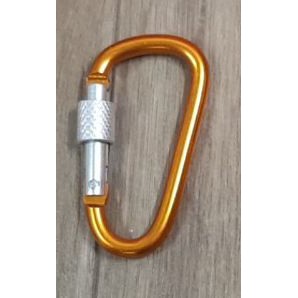 Móc khóa treo đồ phượt móc khóa chữ D giao màu ngẫu nhiên 2Q06