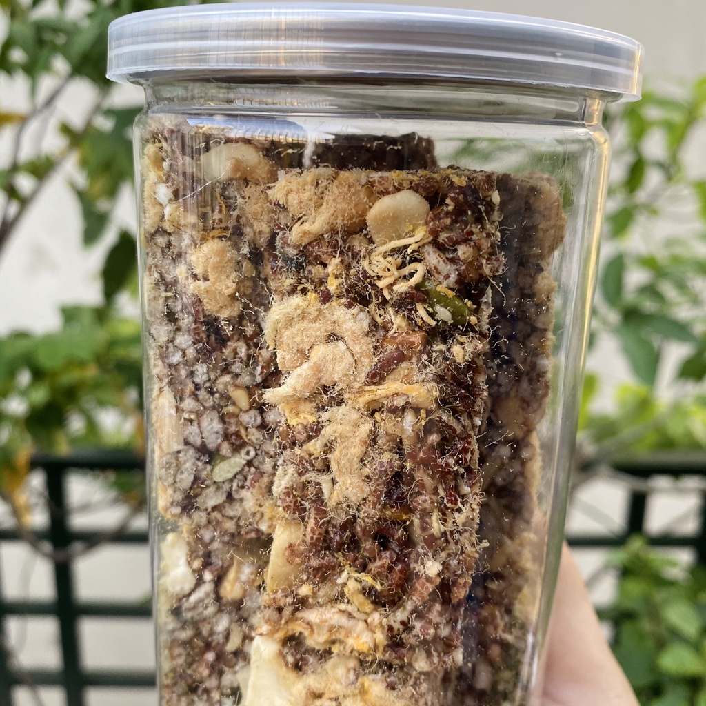 Thanh Gạo Lứt Chà Bông - 300gr - MonMon Food - Đồ Ăn Vặt Hà Nội