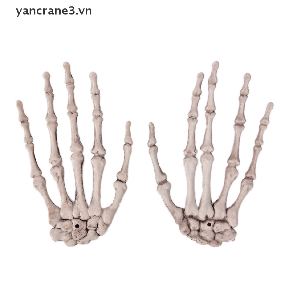 Bộ Xương Bàn Tay Hóa Trang Halloween Kinh Dị Dành Cho Người Lớn yancrane3.vn