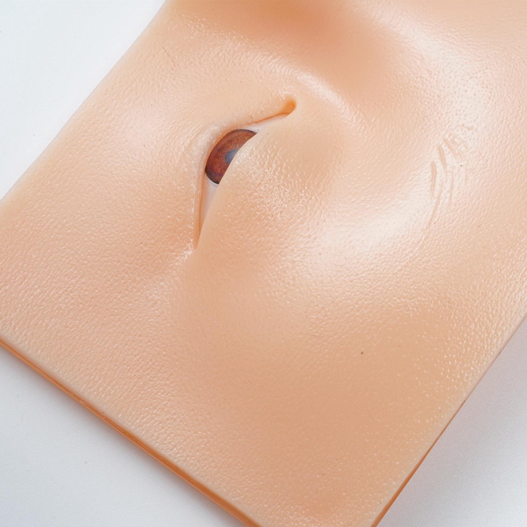 Bảng Silicone 3D Luyện Tập Trang Điểm Mắt Có Thể Tái Sử Dụng