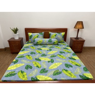 Drap Lẻ Thun Lạnh Hàn Quốc Không Nhăn