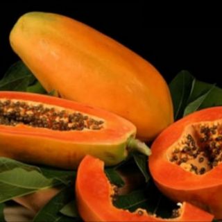 Hạt giống đu đủ ruột đỏ (10 hạt )