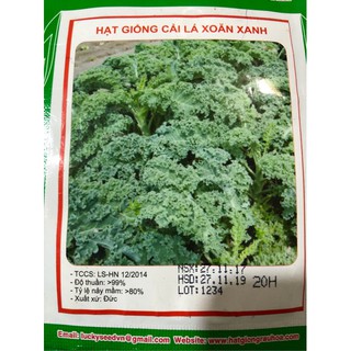 HẠT GIỐNG CẢI XOĂN XANH nhập khẩu-  chuyên dụng.