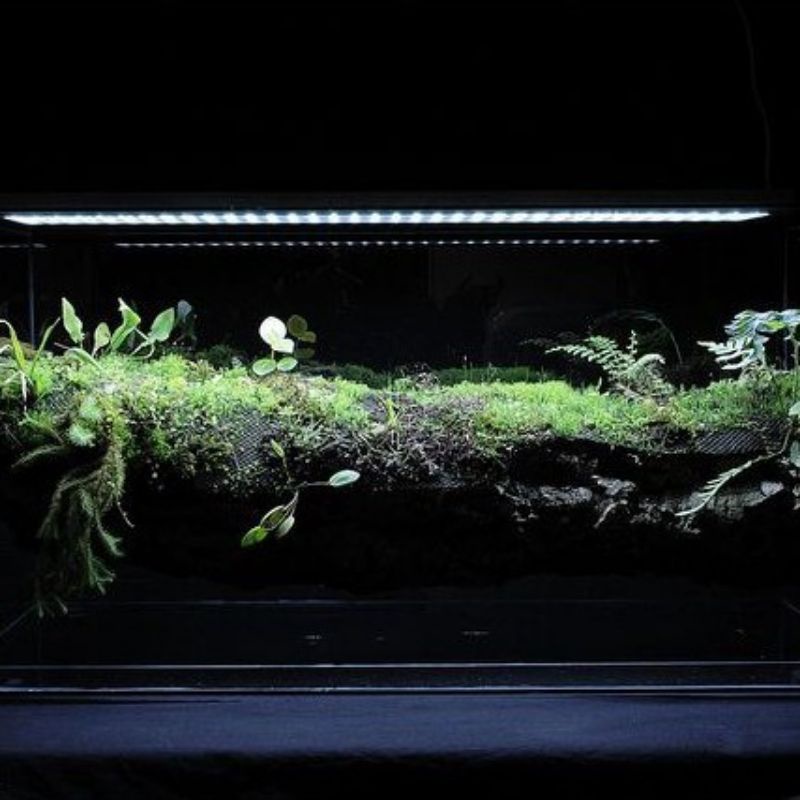 Vải lưới giữ ẩm 1m×1m, dày 4mm