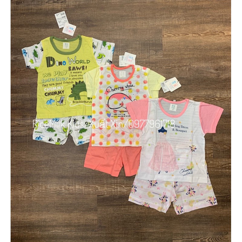 Bộ cộc nhiều mẫu Cotton xuất Hàn Chummy cho bé