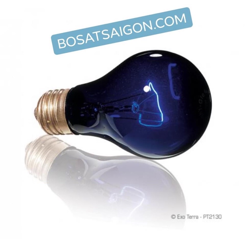 Đèn SƯỞI ẤM ĐÊM 75W giá sỉ, CHO BÒ SÁT, RỒNG NAM MỸ, RÙA NƯỚC, SULCATA, NÚI VÀNG. GIÁ RẼ NHẤT. Chính hãng EXO TERRA.