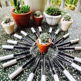 Mascara dầu dừa 10ml