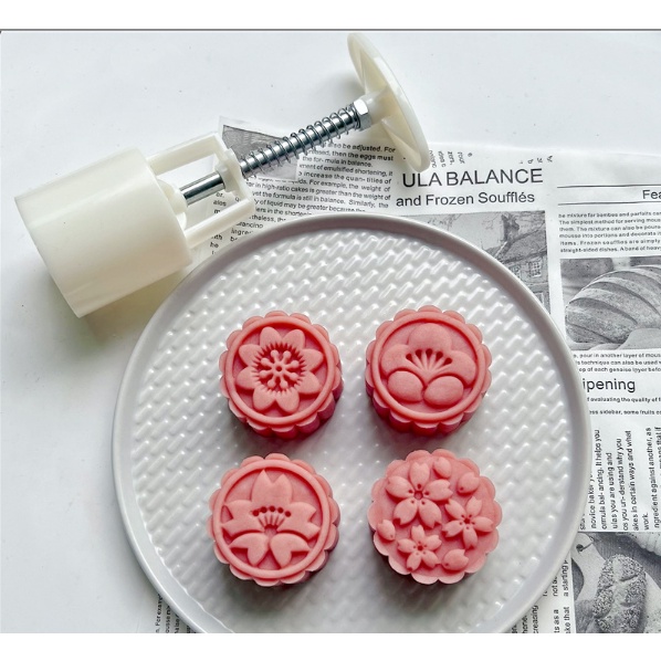 Khuôn Bánh trung thu bánh đậu xanh trái cây anh đào (50 gr) Mã SP: C14