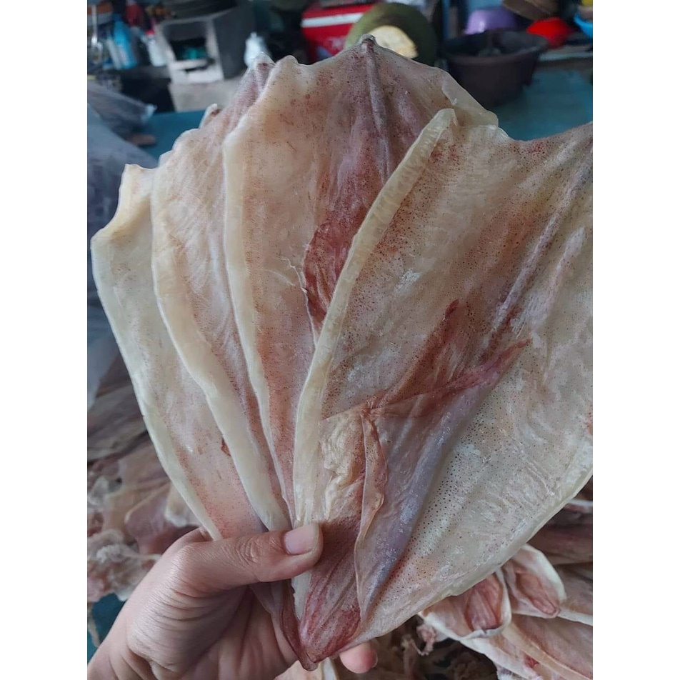 mực khô nghệ an 5 con/bich