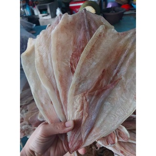 Mực khô nghệ an 5 con/bich
