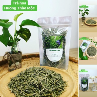 Trà Hương Thảo Rosemary - Hương Thảo Mộc