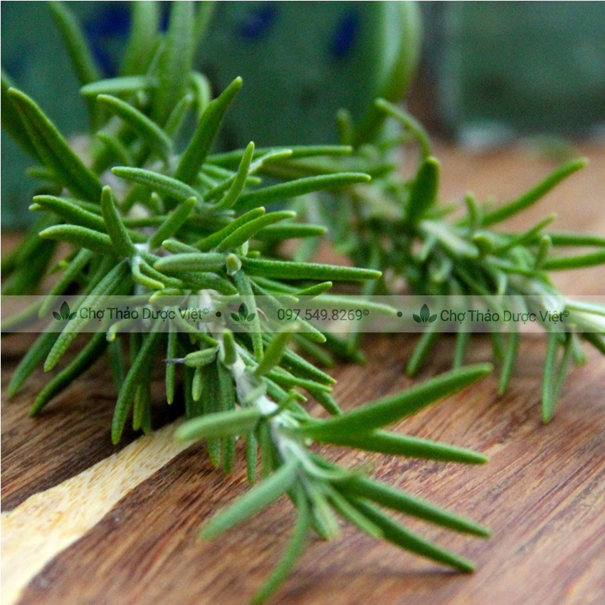 Hương thảo sấy khô 500g - Chợ Thảo Dược Việt