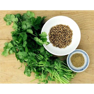 Hạt giống rau Mùi ta (Ngò) - 20 gram.
