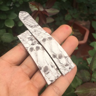 Dây đồng hồ da trăn