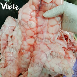 Mỡ trăn nguyên chất 100ml handmade