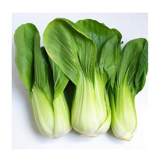 20gram HẠT GIỐNG CẢI THÌA
