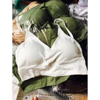 HT81 -  Áo Bra U Cotton Dáng Lưng Chữ U