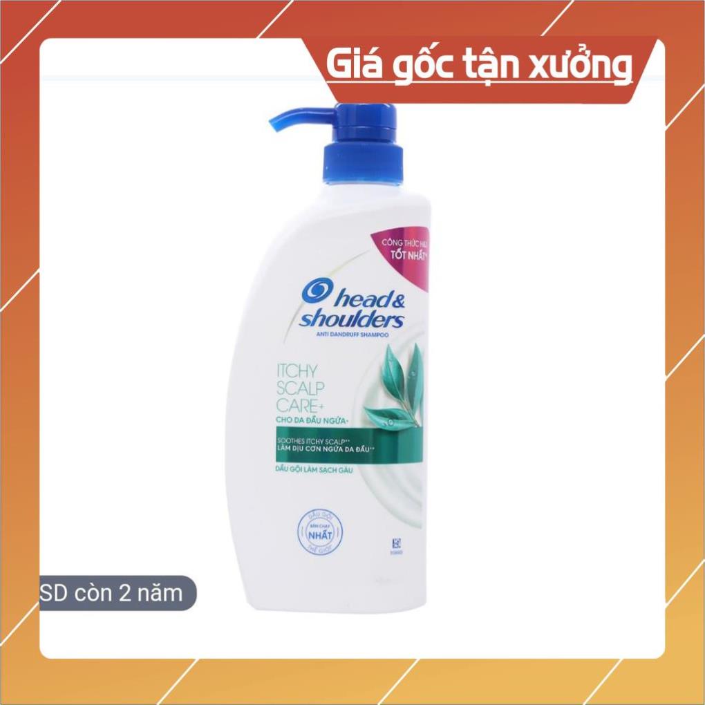 Dầu Gội Sạch Gàu Head & Shoulders Bạc Hà Mát Rượi 650ml