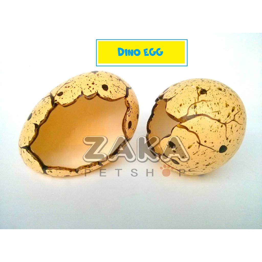 Nhà ngủ trứng khủng long