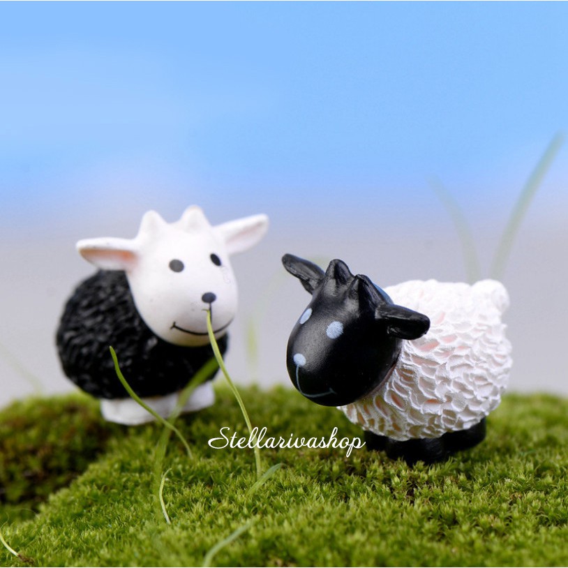 Mô hình cừu trắng, đen trang trí terrarium, mô hình tiểu cảnh
