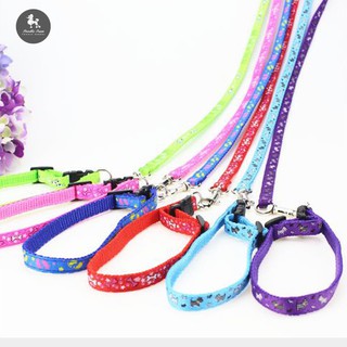 Dây Dắt Chó Mèo Đi dạo Thời Trang