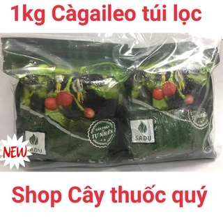 1kg trà túi lọc Cà Gai Leo Sadu