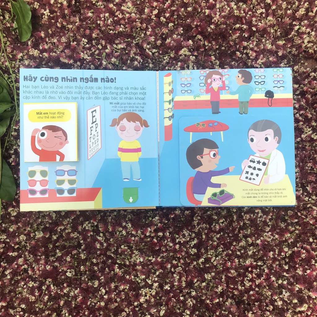 Sách Bách khoa tri thức đa tương tác – Năm giác quan