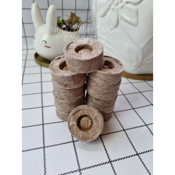 COMBO 10 VIÊN NÉM XƠ DỪA ƯƠM HẠT GIỐNG