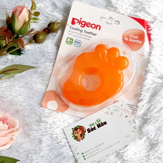NGẬM NƯỚU PIGEON CHO BÉ TỪ 4M+