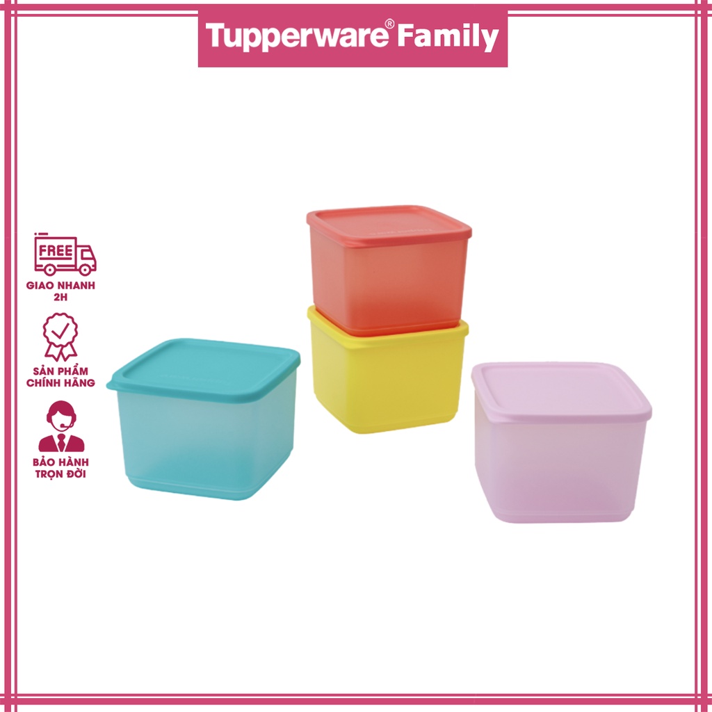 [Tupperware] - Bộ Hộp BQTP Medium Square Round 4 Hộp | Shopee Việt Nam