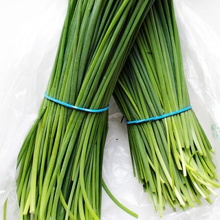 Gói 2 gam hạt giống cây Hẹ Lá