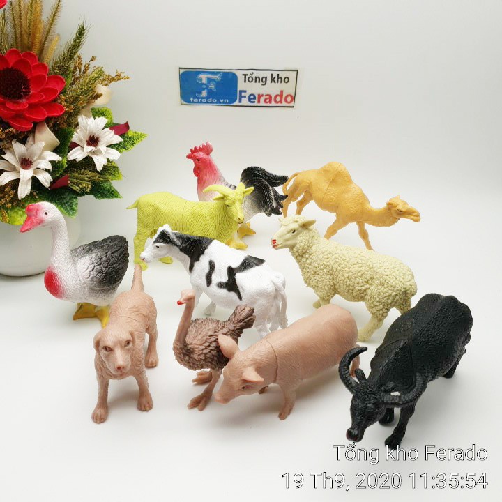 Bộ 10 mô hình đồ chơi động vật rừng cho trẻ em