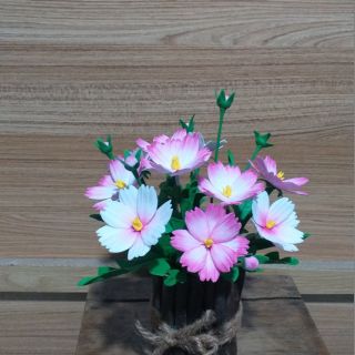 Hoa Sao nhái bằng đất sét