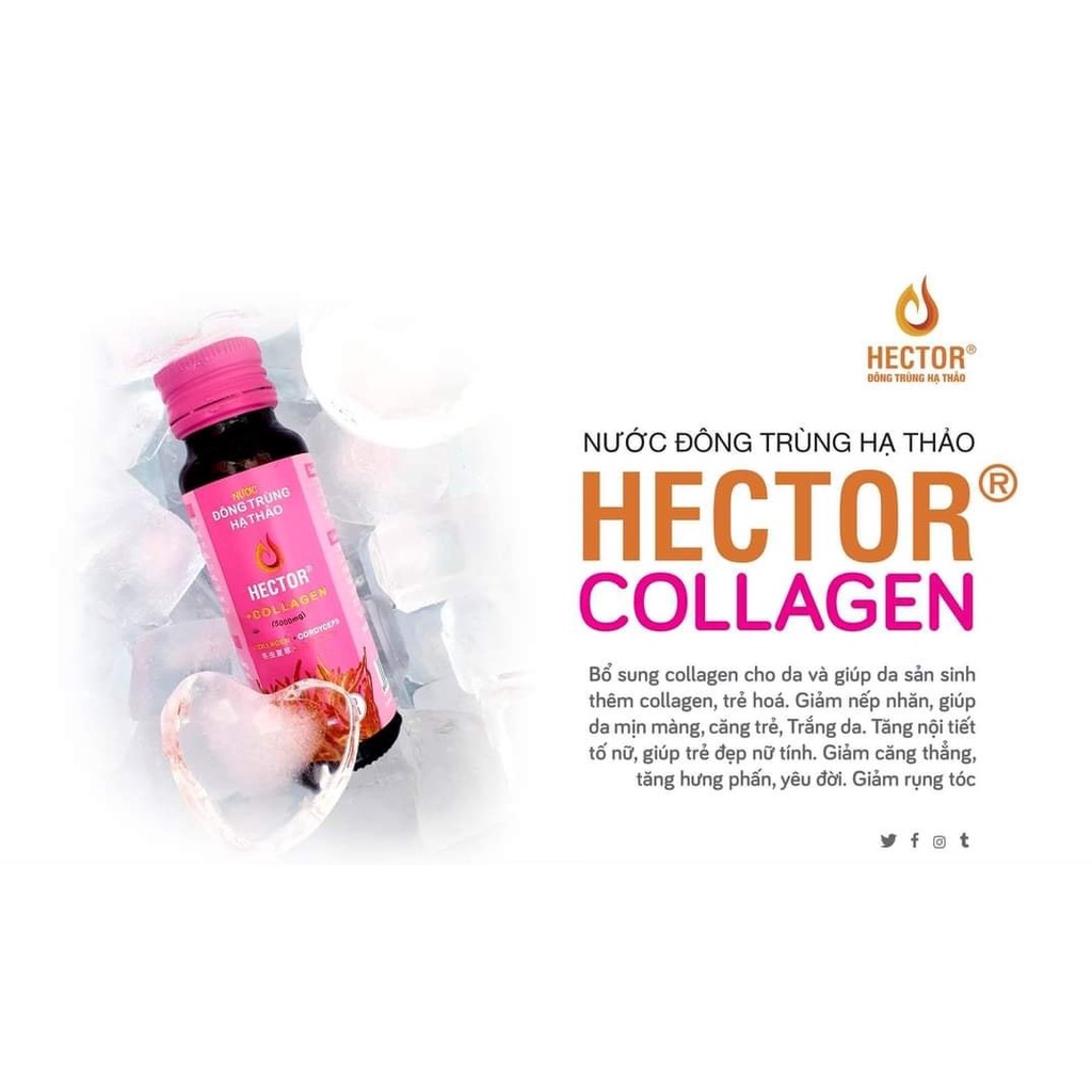 Nước uống đông trùng hạ thảo Hector collagen chống lão hóa (Hộp 10 lọ)