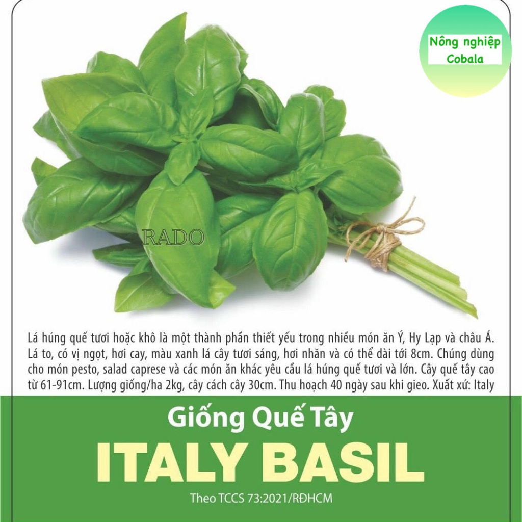 Hạt Giống Quế Tây (BASIL) 2gr