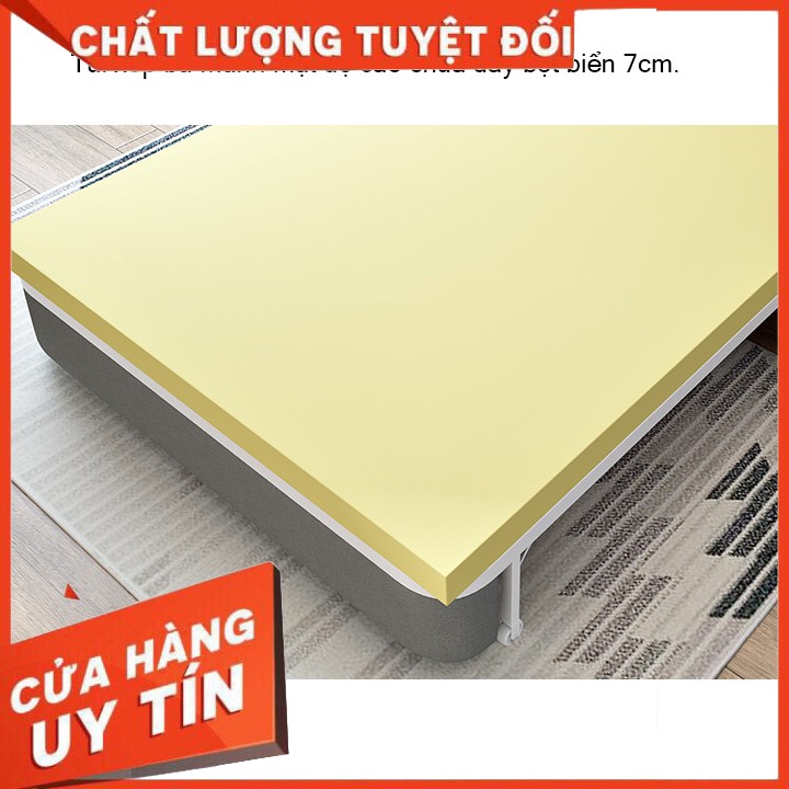 [GIÁ TỐT] Sofa Giường gấp gọn thông minh, Giường Sofa đa năng, khung hợp kim cao cấp (tặng kèm 2 gối ôm) KT:128x190 cm