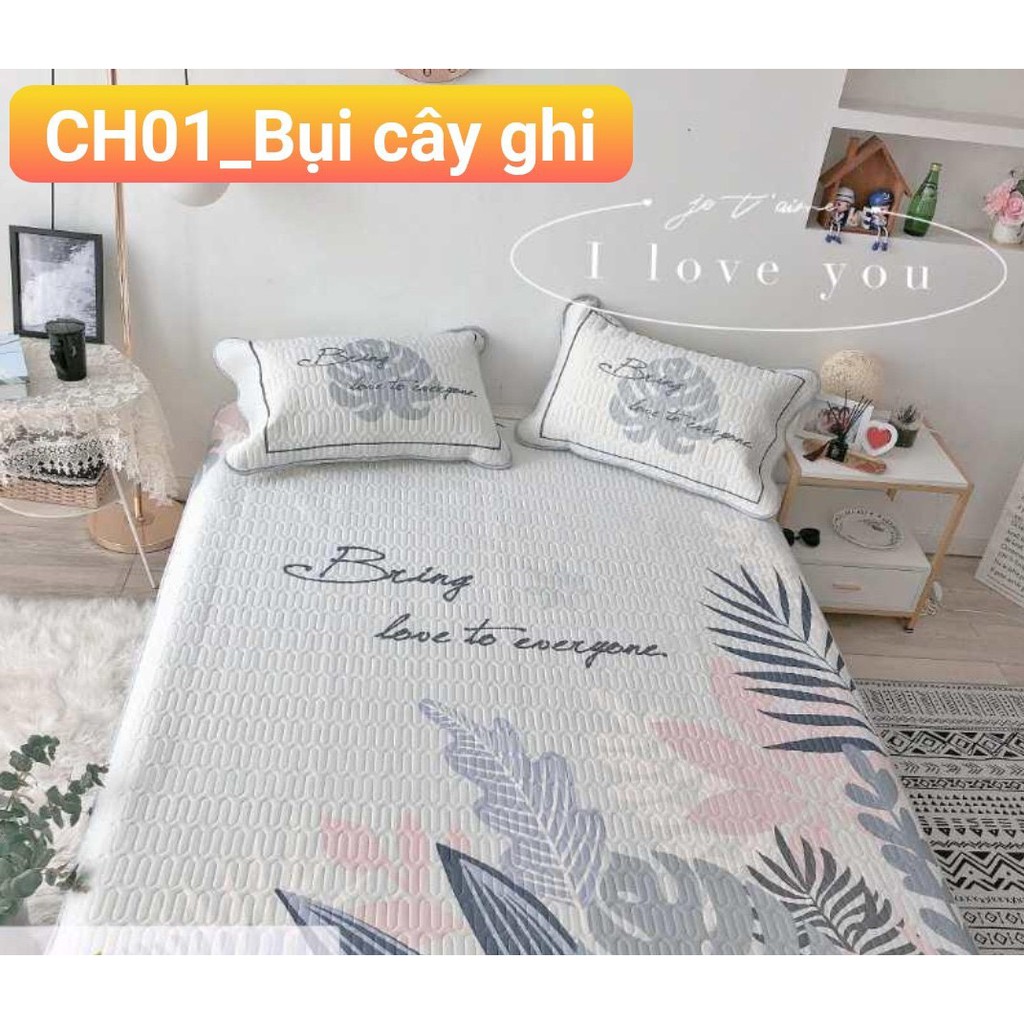 Chiếu điều hòa chiếu cao su non Boss Decor mềm mịn