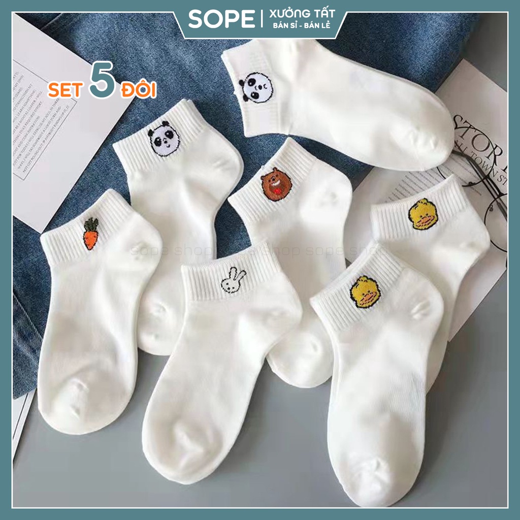 Tất vớ cổ ngắn nữ trắng họa tiết kute chất liệu cotton co giãn bốn chiều, set 5 đôi - Sope Shop