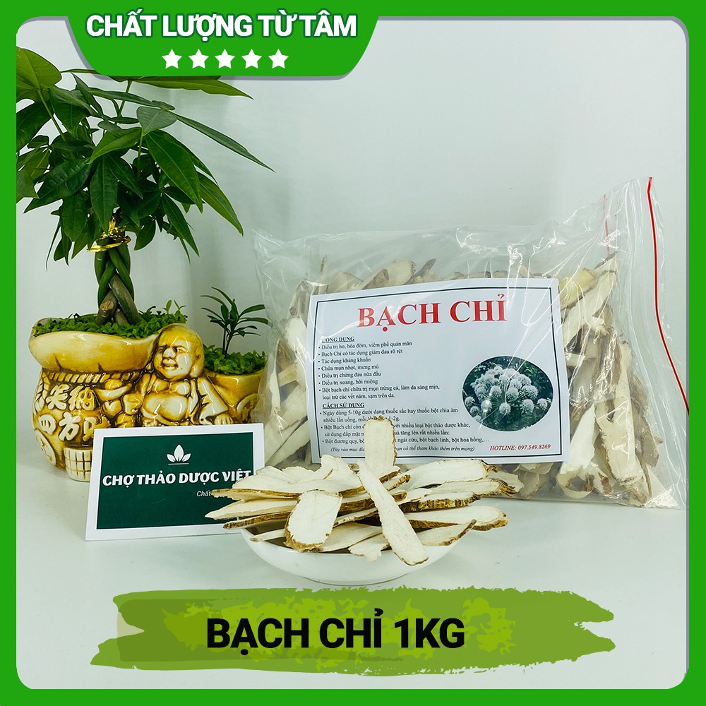 Bạch chỉ 1kg (Khô, thơm)